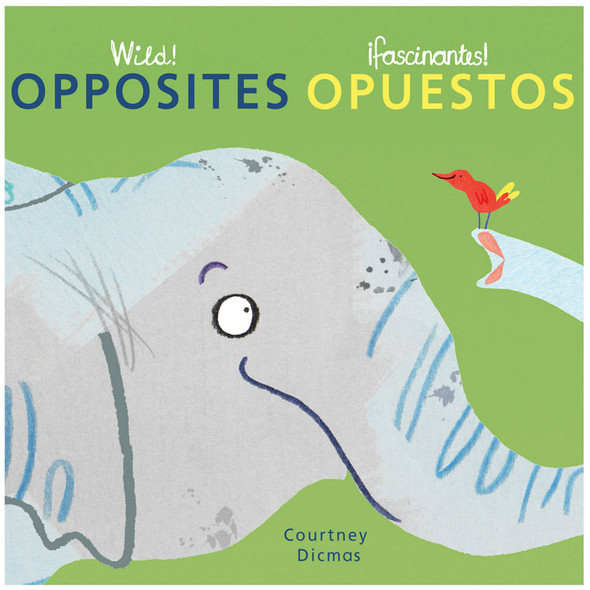 Wild! Concepts Bilingual Board Books, Set of 4 Wild! Concepts Bilingual Board Books, Set of 4