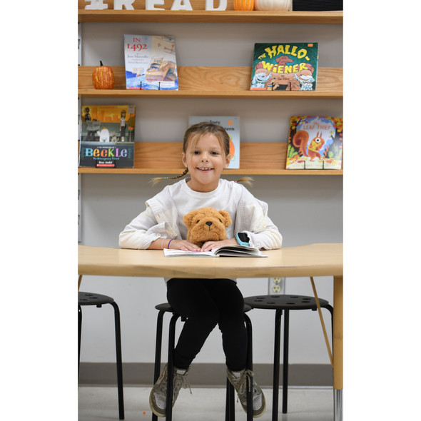 Dog Posture Pal Dog Posture Pal