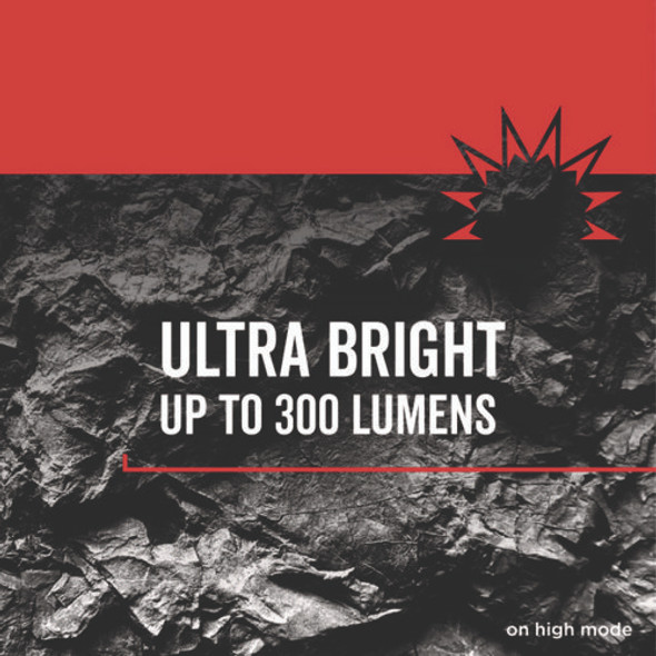 Virtually Indestructible LED Flashlight, 3 AAA Batteries (Included), Black