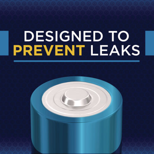 Alkaline D Batteries, 12/Pack