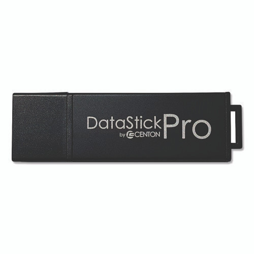 DataStick Pro USB 3.2 Type A Flash Drive, 256 GB, Black