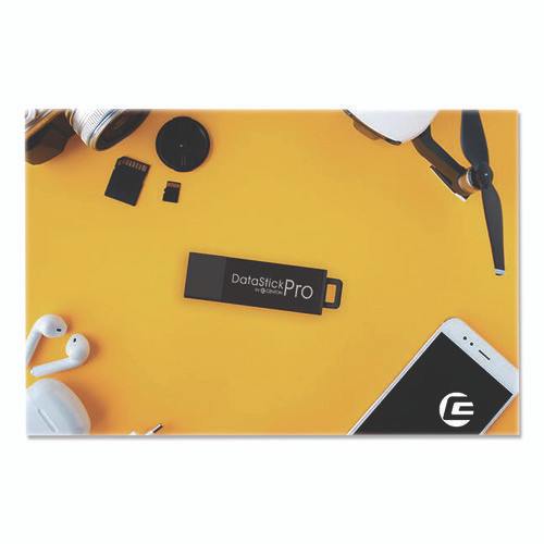 DataStick Pro USB 3.2 Type A Flash Drive, 256 GB, Black