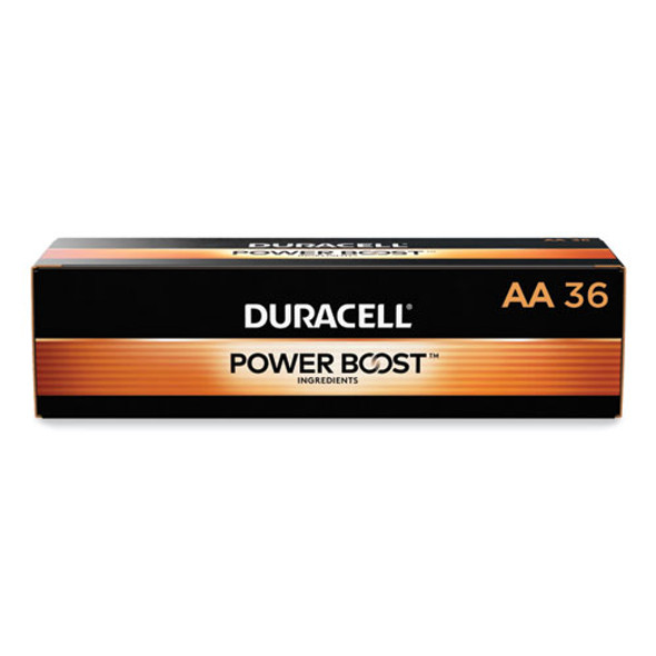 Power Boost CopperTop Alkaline AA Batteries, 36/Pack