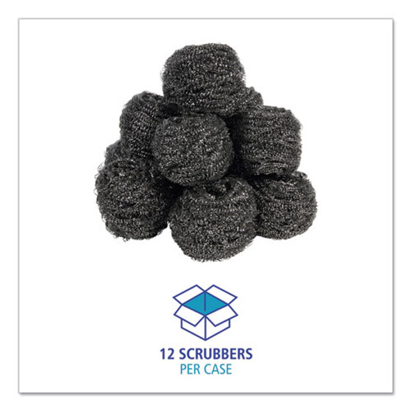 Stainless Steel Scrubber, Large Size, 2.5 x 2.75, Steel Gray, 12/Carton