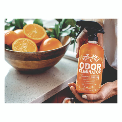 Pet Odor Eliminator Spray, Fresh Orange Blast Scent, 20 oz Spray Bottle