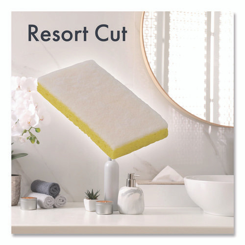 Resort Cut Scrub Sponge, Light Duty, 6.25 x 3.18, White/Yellow, 40/Carton