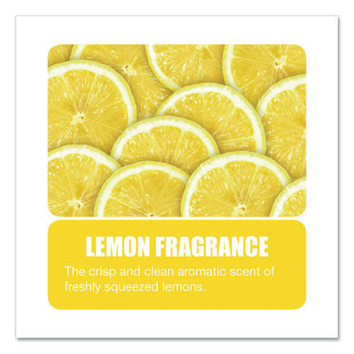 Granular Deodorant, Lemon, 16 oz, Shaker Can, 12/Carton