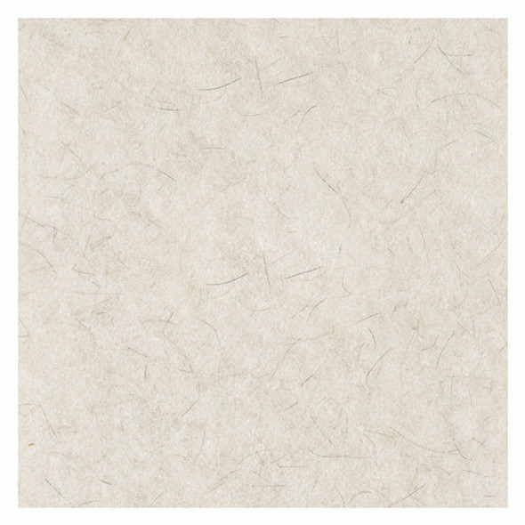 Natural Burnishing Floor Pads, 27" Diameter, White, 5/Carton