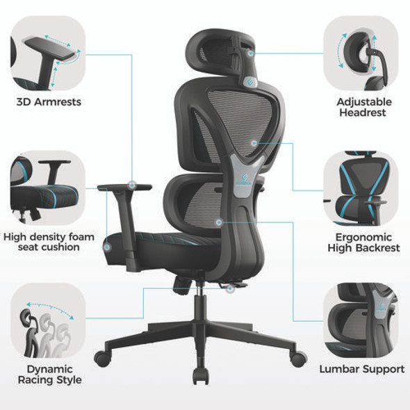 Norn Ergonomic Chair, Supports Up to 275 lb, 18.11" to 22.04" Seat Height, Black/Blue Mesh Seat/Back, Black Base