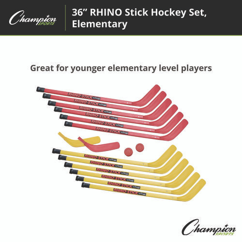 Indoor ABS Kids Hockey Set, 2 Pucks, 12 Sticks