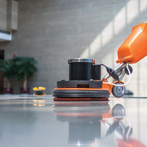 Focus, 1 gal Bottle, 4/Carton