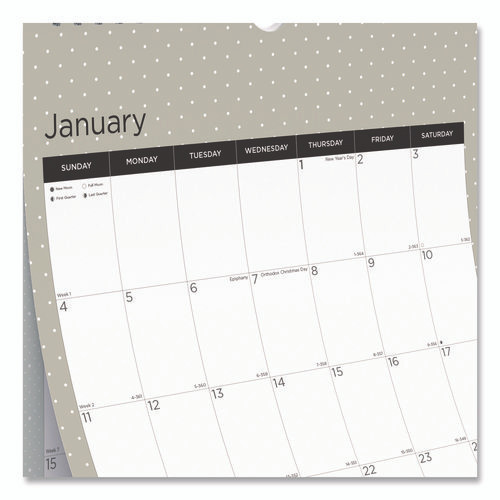 12-Month Wall Calendar, Succulent Plants Photography, 12 x 17, White/Multicolor Sheets, 12-Month (Jan to Dec): 2025