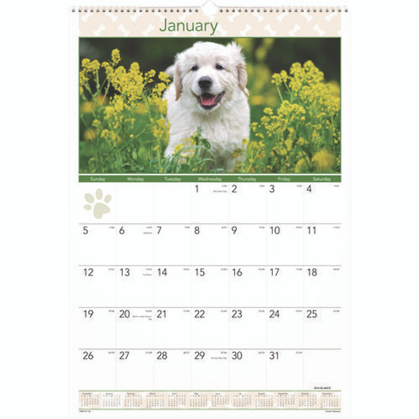 Puppies Monthly Wall Calendar, Puppies Photography, 15.5 x 22.75, White/Multicolor Sheets, 12-Month (Jan to Dec): 2025
