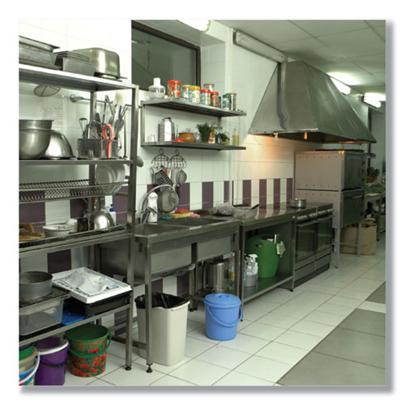 Sure Bet II Foaming Disinfectant, Citrus Floral Scent, 32 oz Bottle, 12/Carton