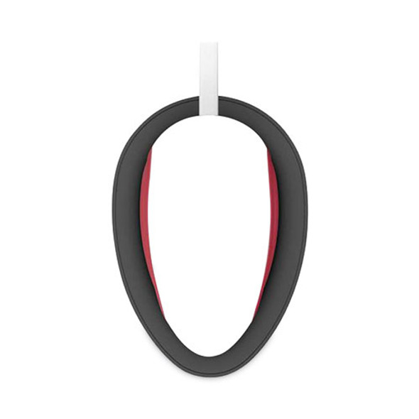 EasyPress Mini, Raspberry