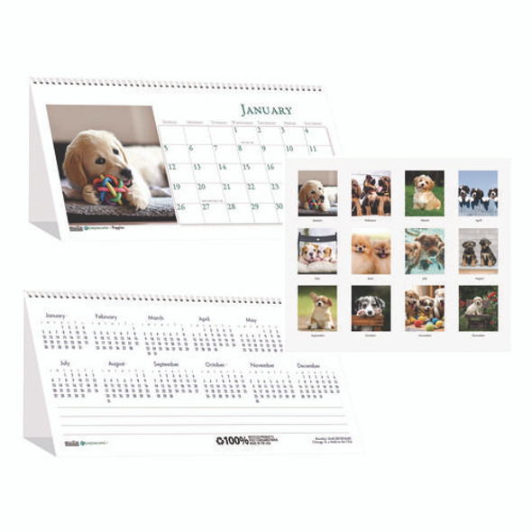 Earthscapes Recycled Desk Tent Monthly Calendar, Puppies Photography, 8.5 x 4.5, White Sheets, 12-Month (Jan to Dec): 2025
