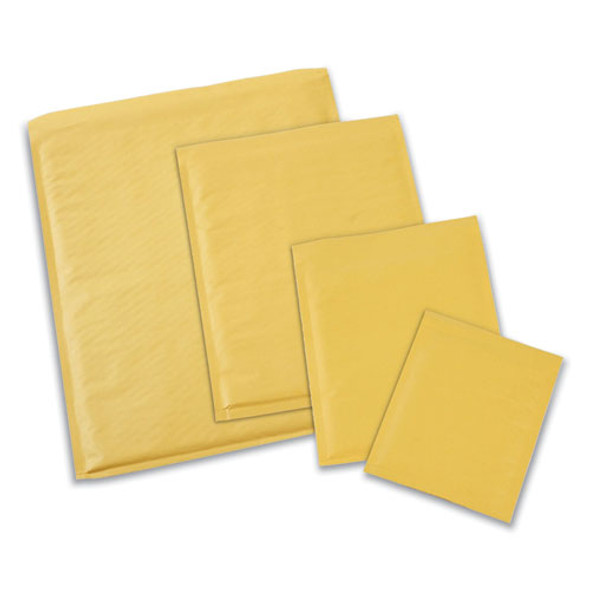 Peel Seal Strip Cushioned Mailer, #4, Extension Flap, Self-Adhesive Closure, 9.5 x 14.5, 25/Carton