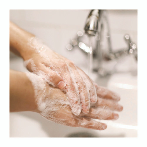 Basics Liquid Hand Soap, Fresh Floral Scent, 7.5 oz Pump Bottle