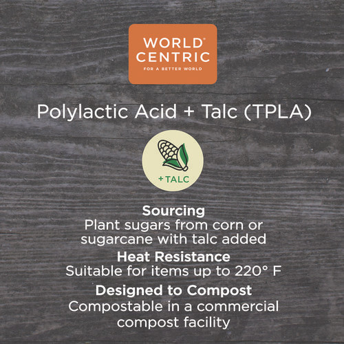 TPLA Compostable Cutlery, Asian Soup Spoon, Plastic, White, 500/Carton