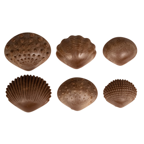Tactile Shells - Eco-Friendly - 36 Pieces, 6 Textures, 3 Sizes - Ages 18m+ Tactile Shells - Eco-Friendly - 36 Pieces, 6 Textures, 3 Sizes - Ages 18m+