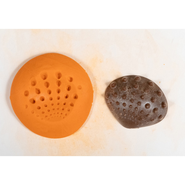 Tactile Shells - Eco-Friendly - 36 Pieces, 6 Textures, 3 Sizes - Ages 18m+ Tactile Shells - Eco-Friendly - 36 Pieces, 6 Textures, 3 Sizes - Ages 18m+