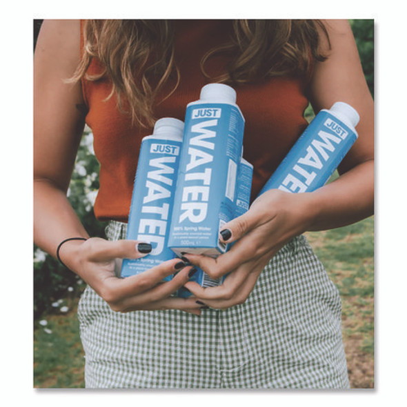 Spring Water, 16.9 oz, 12/Carton