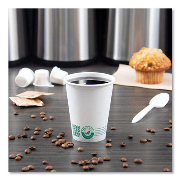 Compostable Paper Hot Cups, 8 oz, White/Green, 1,000/Carton