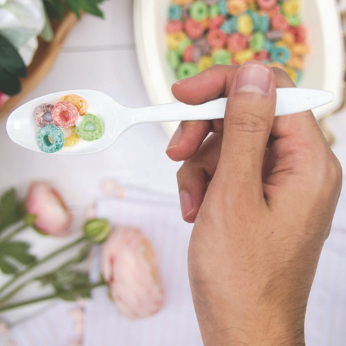 Style Setter Mediumweight Plastic Spoons, White, 1,000/Carton