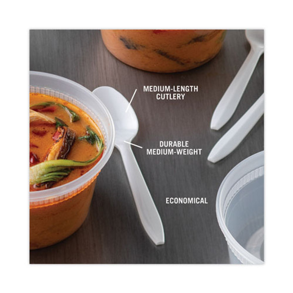 Fieldware Cutlery, Mediumweight Spoon, Plastic, White, 1,000/Carton