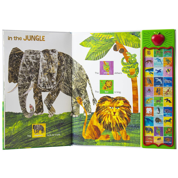The World of Eric Carle: Hear Bear Roar