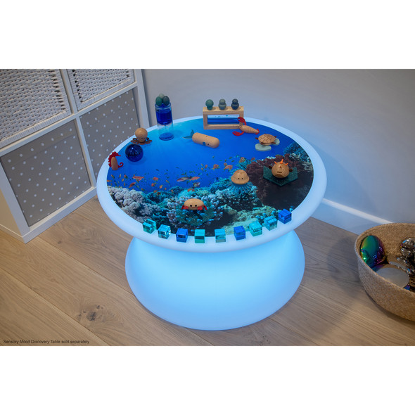 Under the Sea Discovery Play Mat Under the Sea Discovery Play Mat