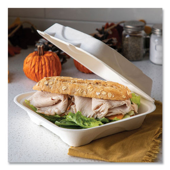 Vanguard Renewable and Compostable Sugarcane Clamshells, 9 x 9 x 3, White, 200/Carton