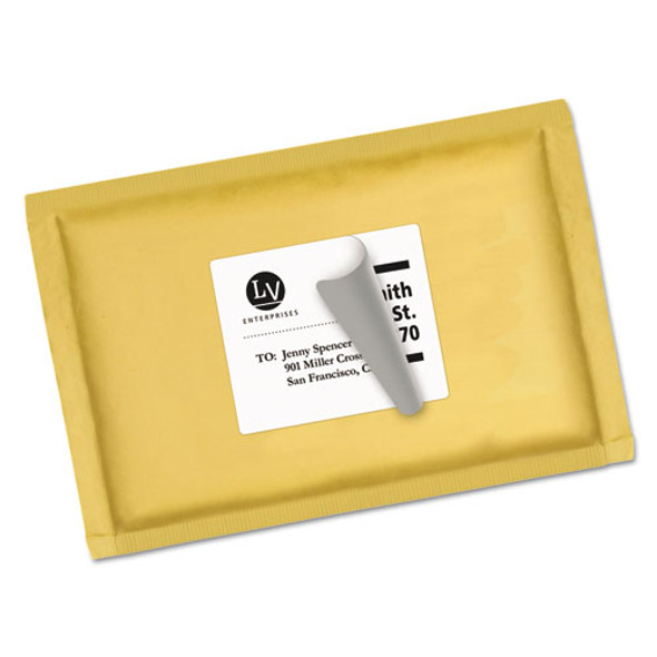 Shipping Labels w/ TrueBlock Technology, Laser Printers, 3.33 x 4, White, 6/Sheet, 100 Sheets/Box
