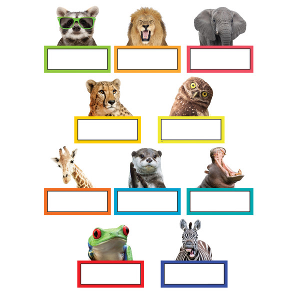 Go Wild Animals Accents, 30 Per Pack, 3 Packs