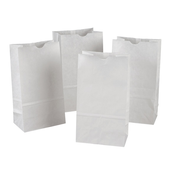 Kraft Bag, White, 6" x 3-5/8" x 11", 50 Per Pack, 2 Packs