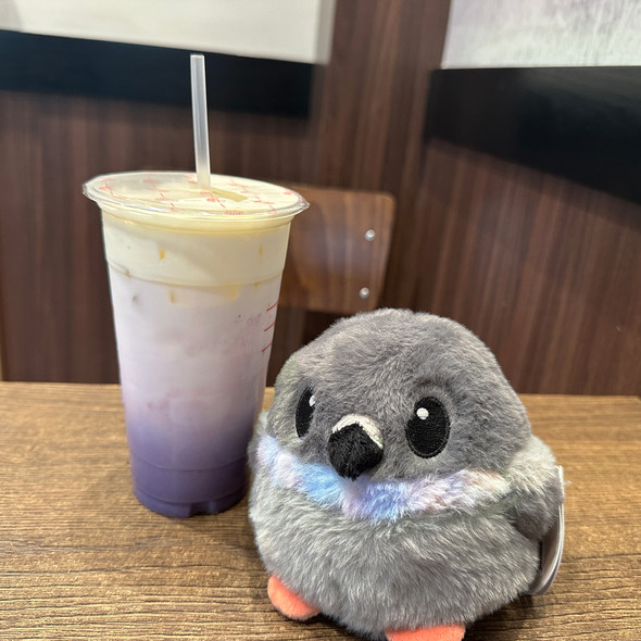 Pigeon Plush