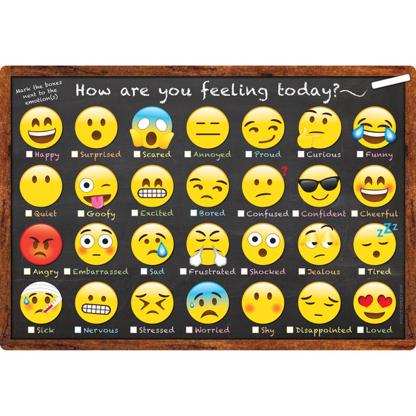 Smart Poly Chart, 13" x 19", Emotions Icon How Are You Feeling