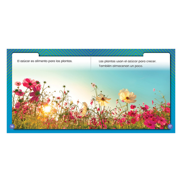 ERSCD-9781731652652_1