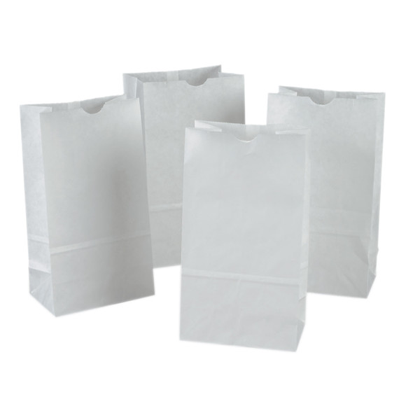 Kraft Bag, White, 6" x 3-5/8" x 11", 50 Bags