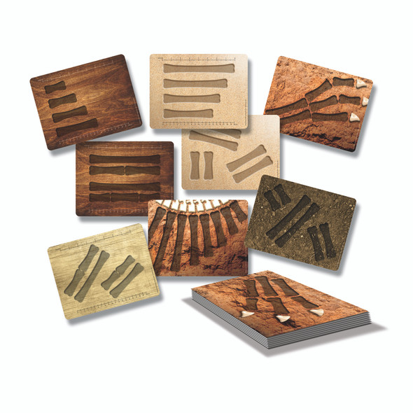 Dinosaur Bones Match and Measure Activity Cards