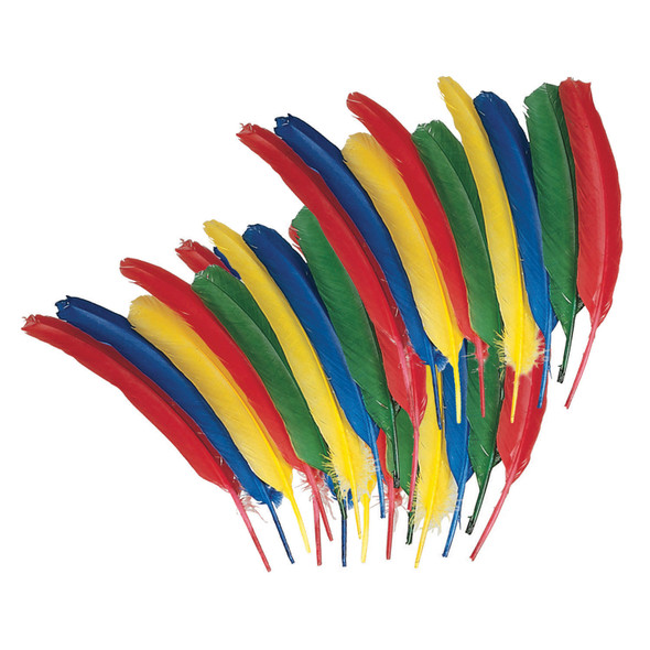 Quill Feathers, Assorted Colors, 12", 24 Per Pack, 3 Packs