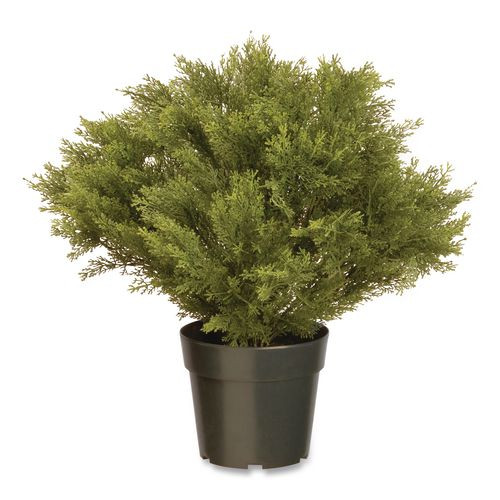 Globe Juniper Topiary Tree, 20" X 28" X 20", Green Tree, Green Pot