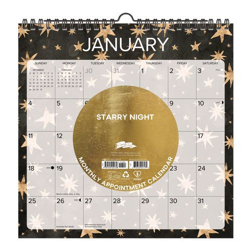 Starry Night 2026 Spiral Wall Calendar, Starry Night Artwork, 12 X 12, Multicolor Sheets, 12-month (jan To Dec)