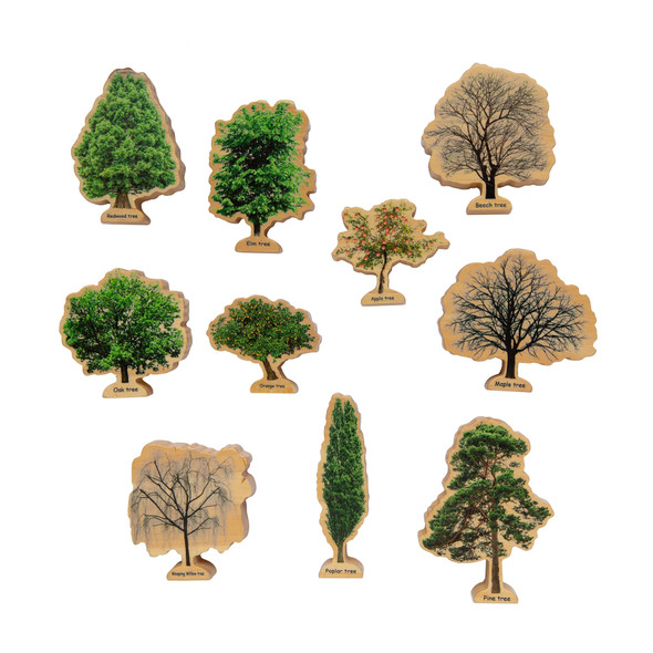 Seasons Wooden Trees Seasons Wooden Trees