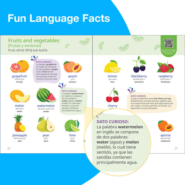 Inglés: Diccionario visual