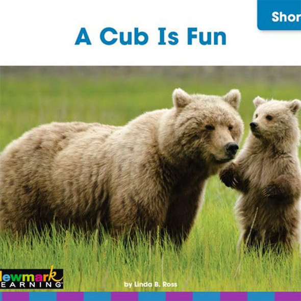 Decodable Readers Grade 1 Short Vowels, Consonant Blends, and Digraphs, 24 Books Decodable Readers Grade 1 Short Vowels, Consonant Blends, and Digraphs, 24 Books