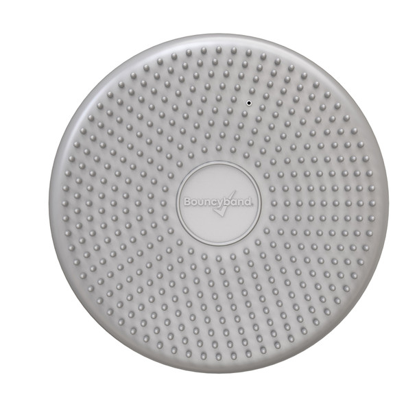 Big Wiggle Seat Sensory Cushion, Silver Big Wiggle Seat Sensory Cushion, Silver