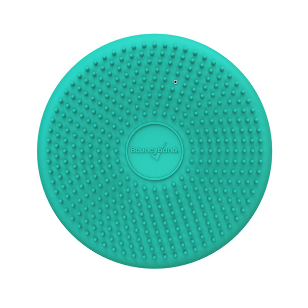 Little Wiggle Seat Sensory Cushion, Mint