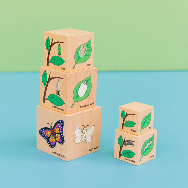 Lifecycle Wooden Blocks - Set of 5 Lifecycle Wooden Blocks - Set of 5