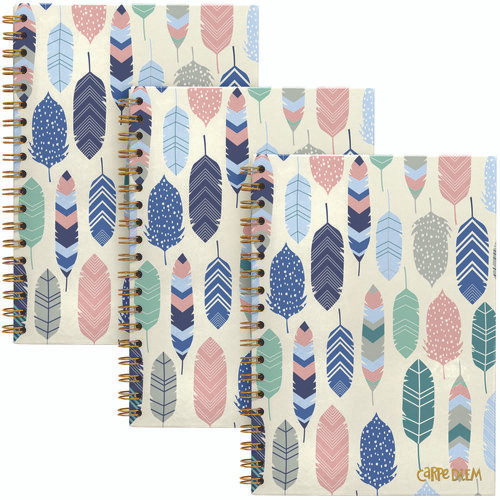 B5 Size Notebook, 1-Subject, Medium/College Rule, Cream/Pink/Blue Cover, (80) 9.8 x 6.9 Sheets, 3/Pack